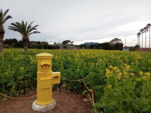 街ガチャ in 渥美半島10の写真