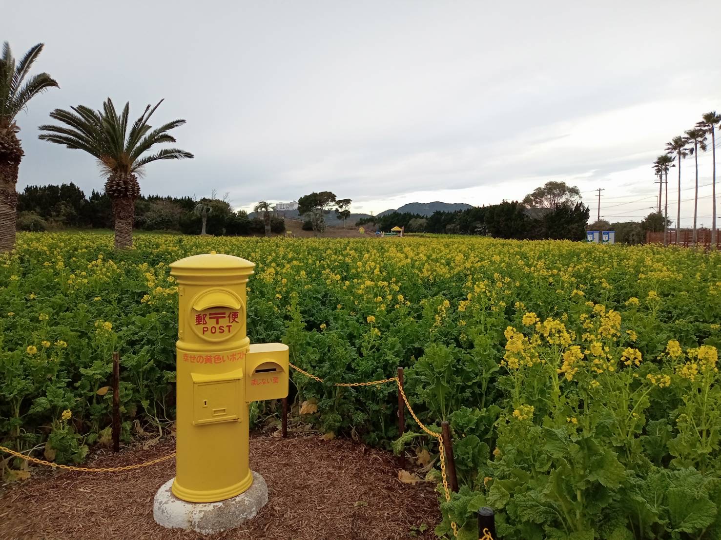 街ガチャ in 渥美半島10の写真