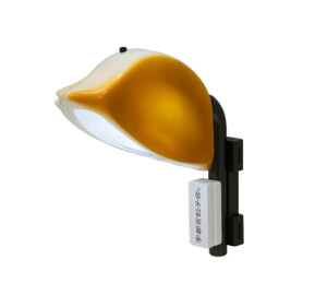 街ガチャ in 宇都宮（宇都宮餃子ガチャ）　第3弾10の写真